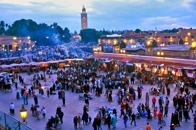 Marrakech City Tour With Private Driver - Destination Highlights and Shopping Opportunities