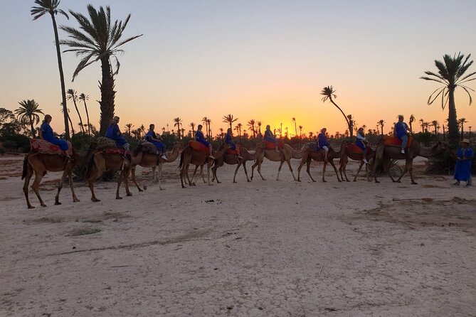 Marrakech Desert Camel Ride - How to Book and Contact Info