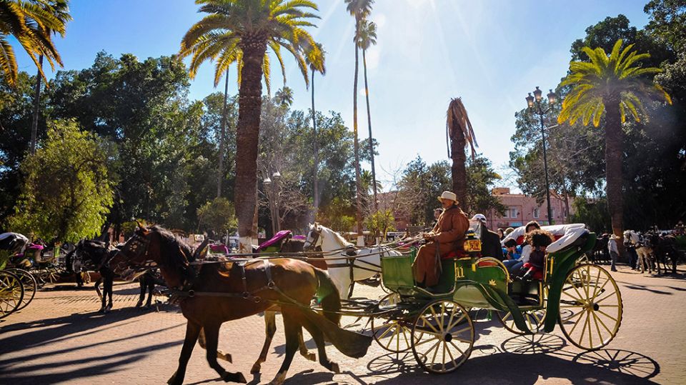 Marrakech: Horse-Drawn Carriage Tour - Sunset Views and Local Routines