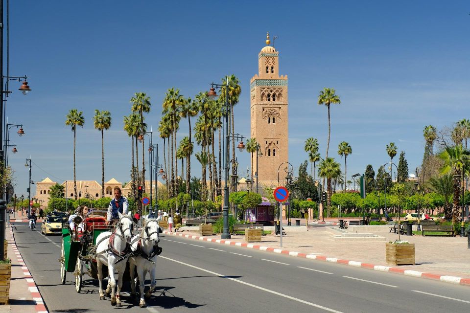 Marrakech: Majorelle & Menara Gardens Tour by Carriage Ride - Meeting Point