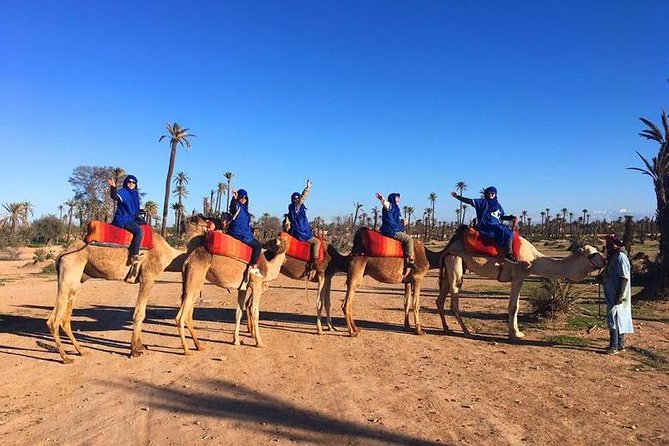 Marrakech Oasis Escape: Camel Ride & Quad Bike Adventure - Provider Details