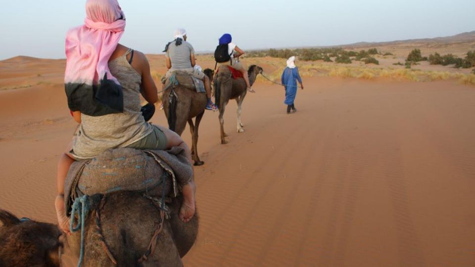 Marrakech: Overnight Sahara Tour to Zagora & Ait Ben Haddou - Last Words