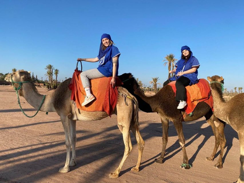 Marrakech Palmeraie : Camel Ride in the Oasis With Tea - Tips for a Memorable Experience