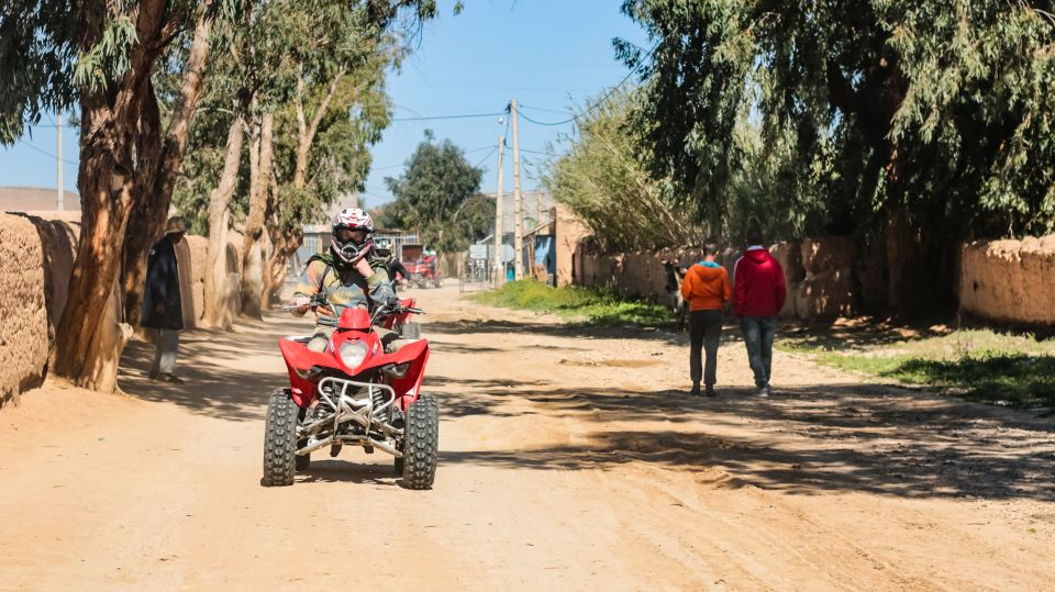 Marrakech Quad Bike Experience: Desert and Palmeraie - Live Tour Guides