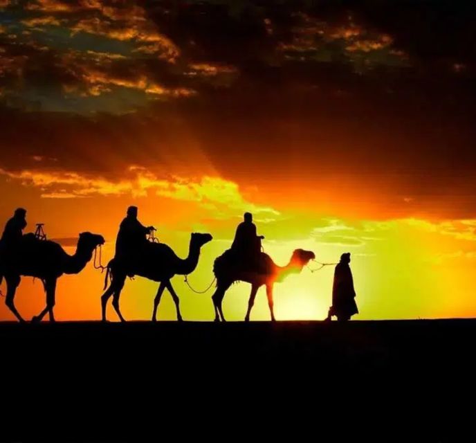Marrakech: Sunrise Desert Tour With Camel Ride and Breakfast - Last Words