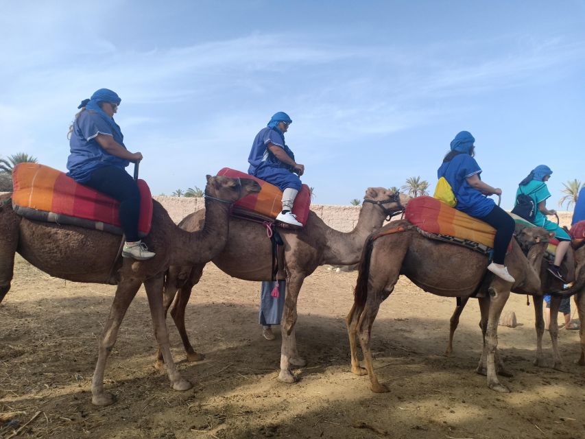 Marrakech: Sunset Camel Ride in the Palmeraie - Common questions