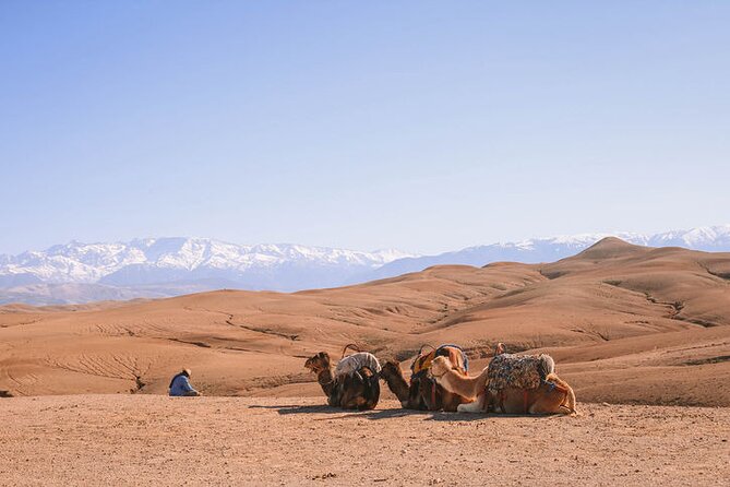 Marrakesh: Agafay Desert Tour With Lunch and Camel Ride - Customer Support