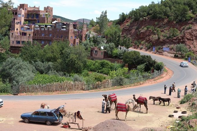 Marrakesh Day Tour to Atlas Mountains - Return to Marrakesh