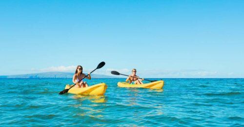 Maui: Turtle Town Kayak and Snorkel Tour - Last Words