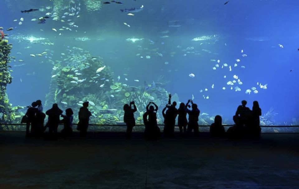 Mazatlan: Grand Aquarium Ticket and City Sightseeing Tour - Last Words