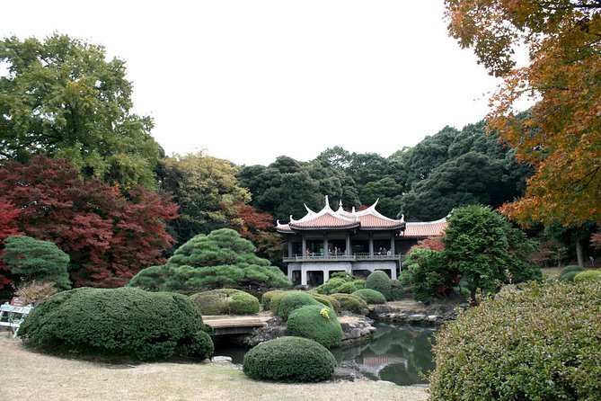 Meiji Jingu Shrine Half-Day Tour by Public Transportation - Common questions