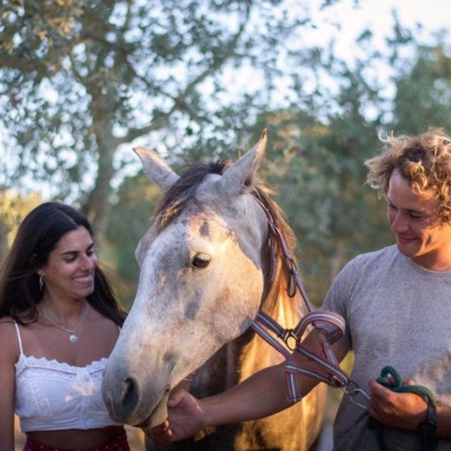 Melides: Horseback Riding on Melides Beach - Last Words