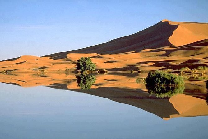 Merzouga 4X4 Half-Day Tour With Lunch - Traveler Reviews