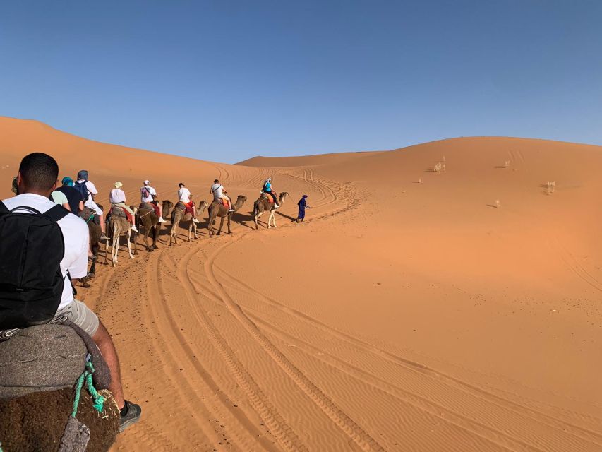 Merzouga: Overnight Camel Trek With Sandboarding - Customer Reviews and Ratings