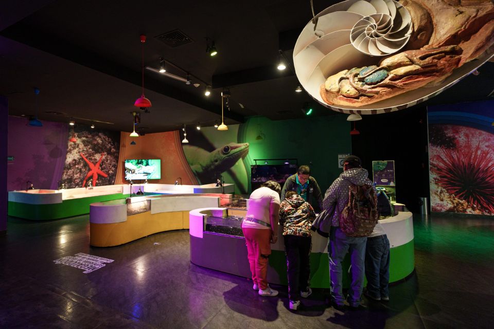 Mexico City: Inbursa Aquarium Ticket With VR Option - Common questions