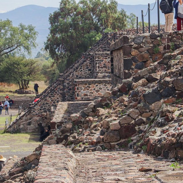 Mexico City: Private Tour Teotihuacan & Guadalupe Basilica - Common questions