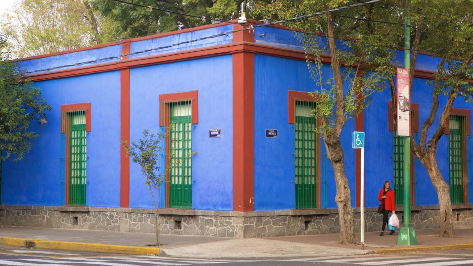 Mexico City: Skip-the-Line Ticket to The Frida Kahlo Museum - Visitor Tips