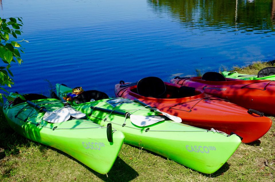 Miami: Sunset Biscayne Bay Aquatic Preserve Kayak Tour - Common questions