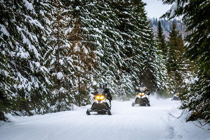 Mont-Tremblant Guided Snowmobile Tours - Experience and Expectations