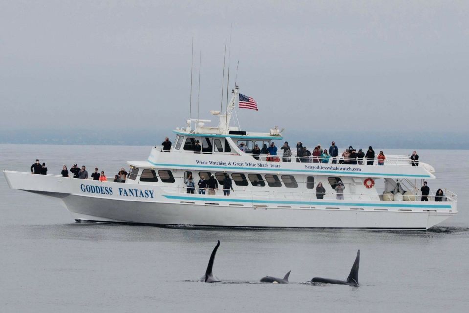 Monterey: Whale Watching Cruise - Overall Rating and Summary