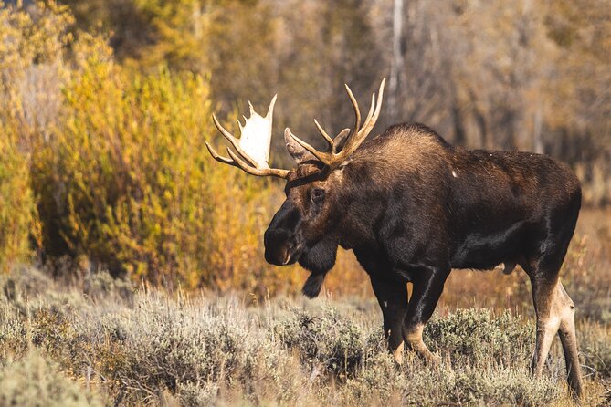 Moraine Lake, Lake Louise & Banff Small Group Adventure Tour - Common questions