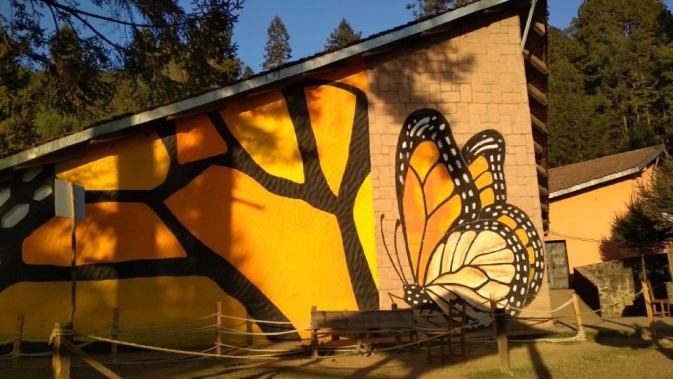 Morelia: Monarch Butterfly Tour - Winter Butterfly Refuge
