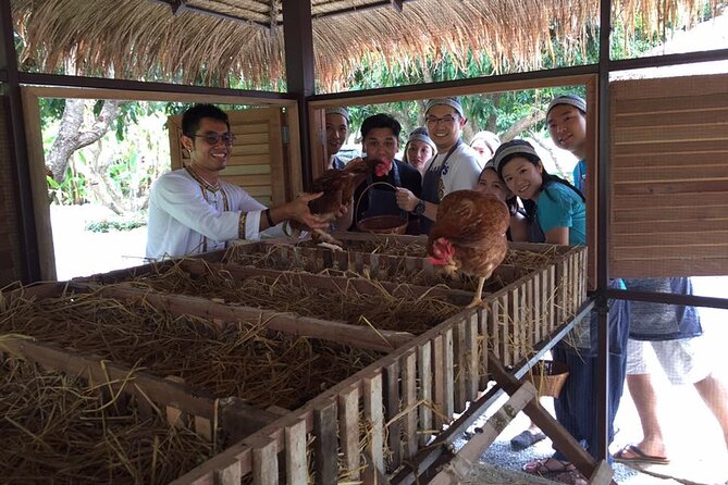 Morning Cooking Class in Traditional Pavilion With Beautiful Garden - Chiang Mai - Common questions