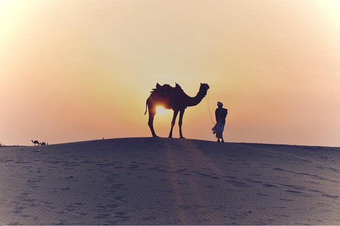 Morning Desert Safari, 25 Minutes ATV With 20 Minutes Camel Ride - Photo Gallery