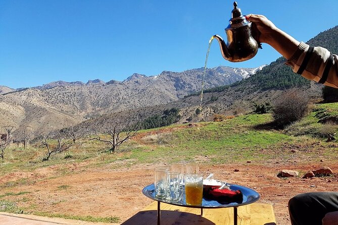 Moroccan Wine Tasting From Marrakech at Atlas Mountains & Desert and Camel Ride - Customer Reviews and Ratings