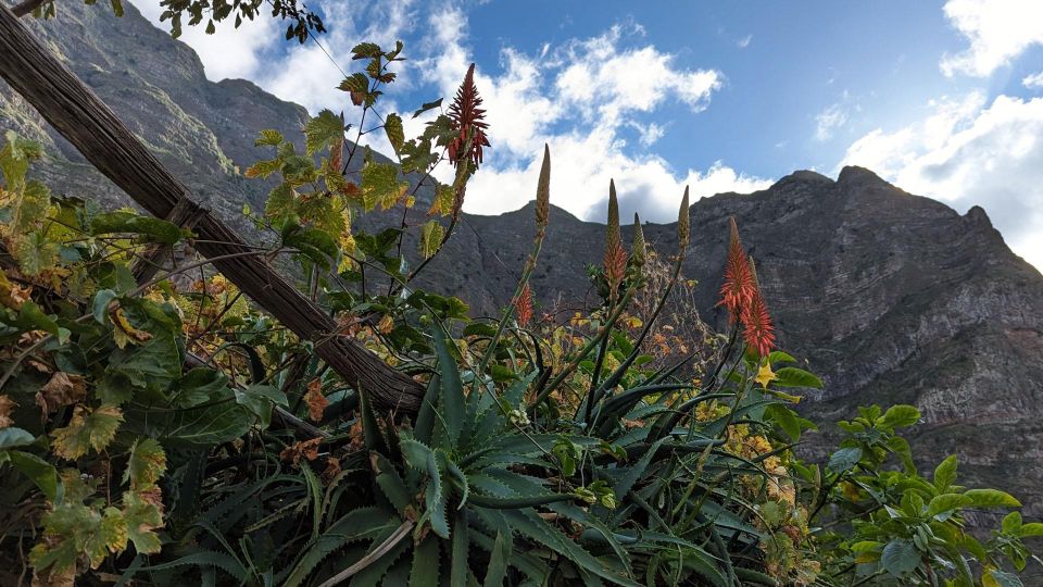 Mountain Wonders in 4h: Nuns Valley Eira Do Serrado - Common questions