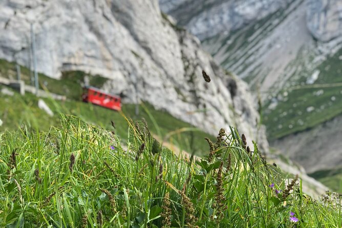 Mt. Pilatus and Cruise on Lake Lucerne Private Tour From Zurich - Common questions