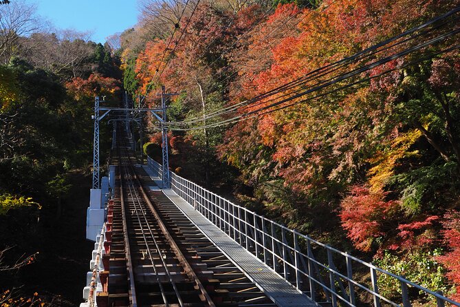 Mt.TAKAO Trekking 1 Day Tour - Traveler Reviews