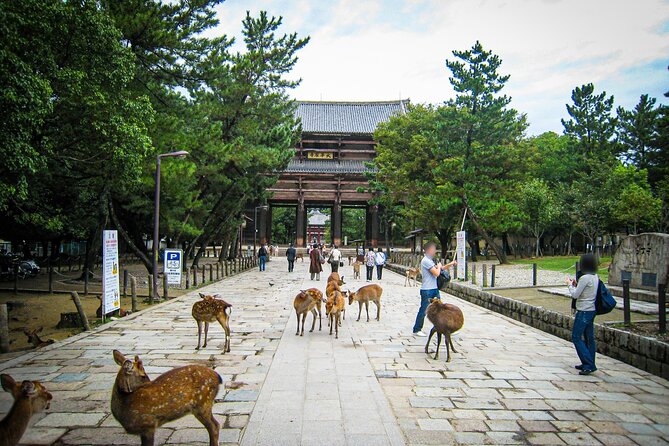 Nara World Heritage Todaiji Visit and Naramachi Tour - Important Reminders