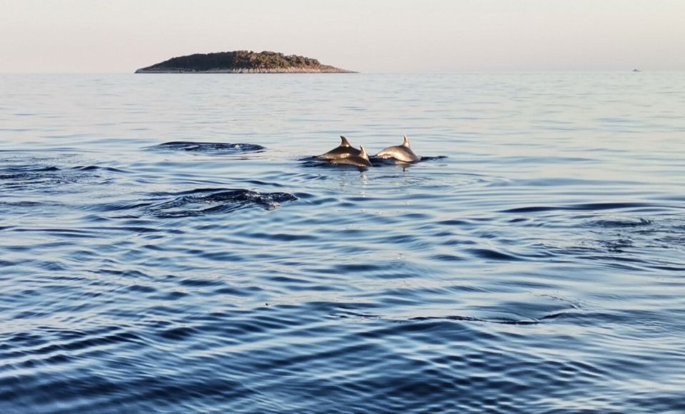 National Park Kornati - Common questions