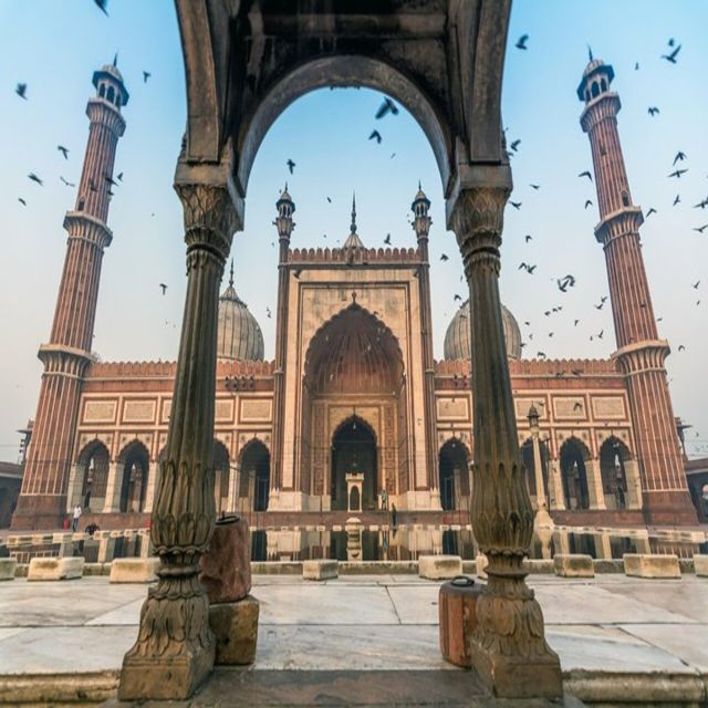 New Delhi: Full-Day Old & New Delhi Guided Tour - Panoramic Views