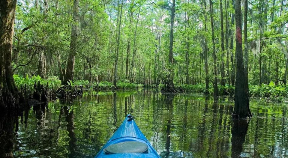 New Orleans: Manchac Magic Kayak Swamp Tour - Last Words