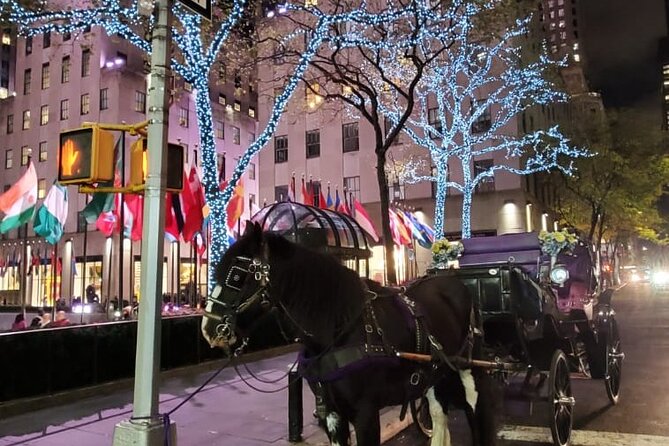 New York City Christmas Lights Private Horse Carriage Ride - Last Words