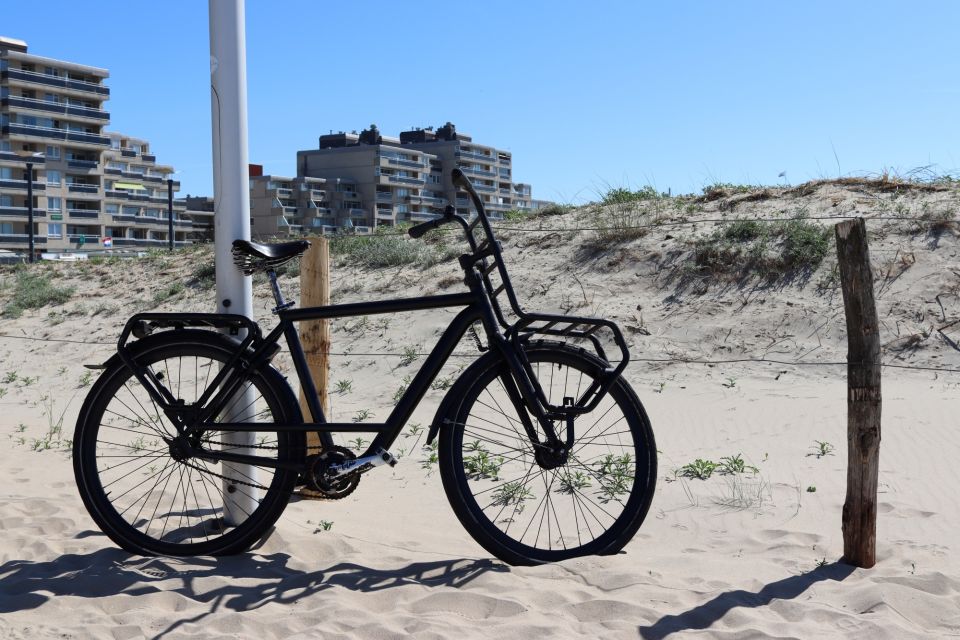 Noordwijk: Beach and Dunes Bike Tour - Common questions