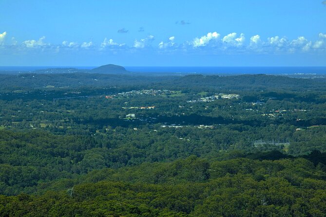 Noosa, Eumundi Markets, Glass House Mountains From Brisbane - Important Cancellation Policy