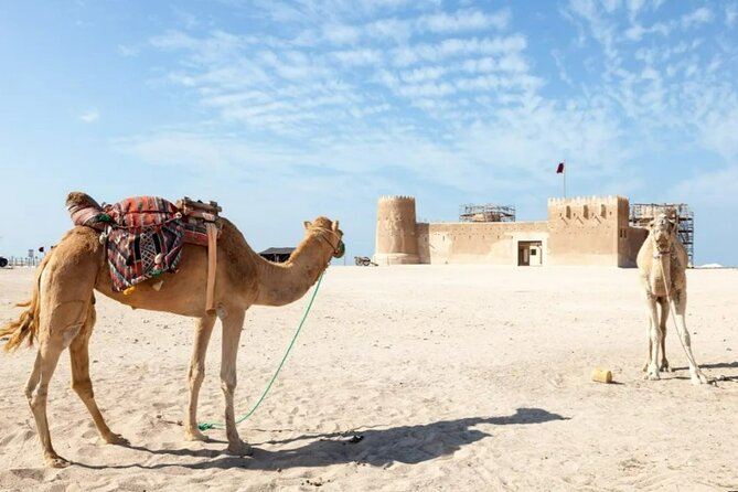 North of Qatar Tour to Olafur Eliasson,Zubara Fort,Jumail Village - Additional Tour Information