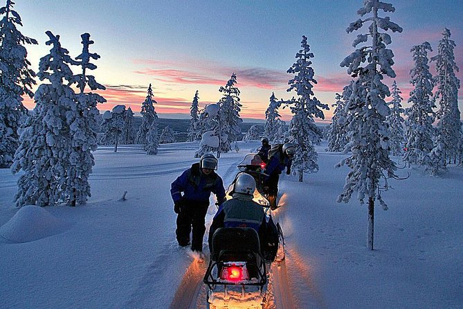 Northern Light Safari by Snowmobiles From Levi - Last Words