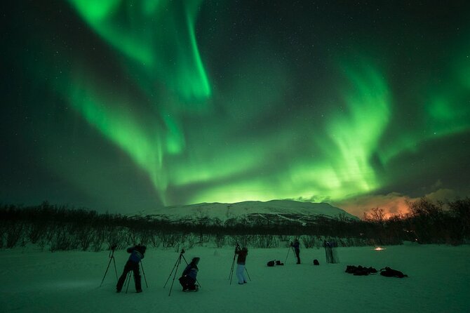 Northern Lights Photo Adventure in Abisko National Park (Mar ) - Additional Information