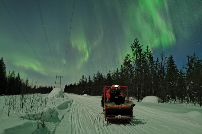 Northern Lights Sledge Ride - Last Words