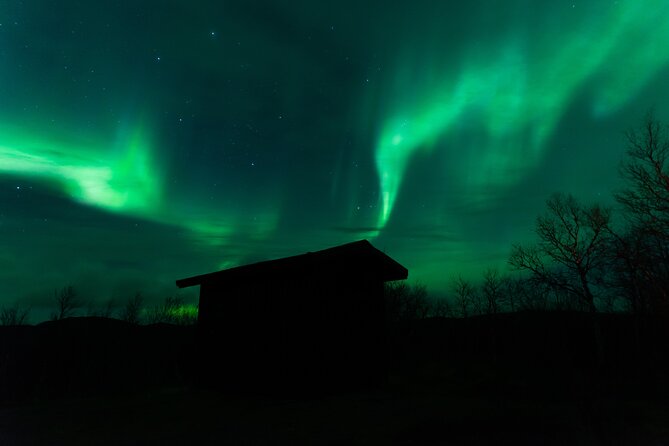 Northern Lights Tour From Kiruna to Abisko With Dinner - Last Words