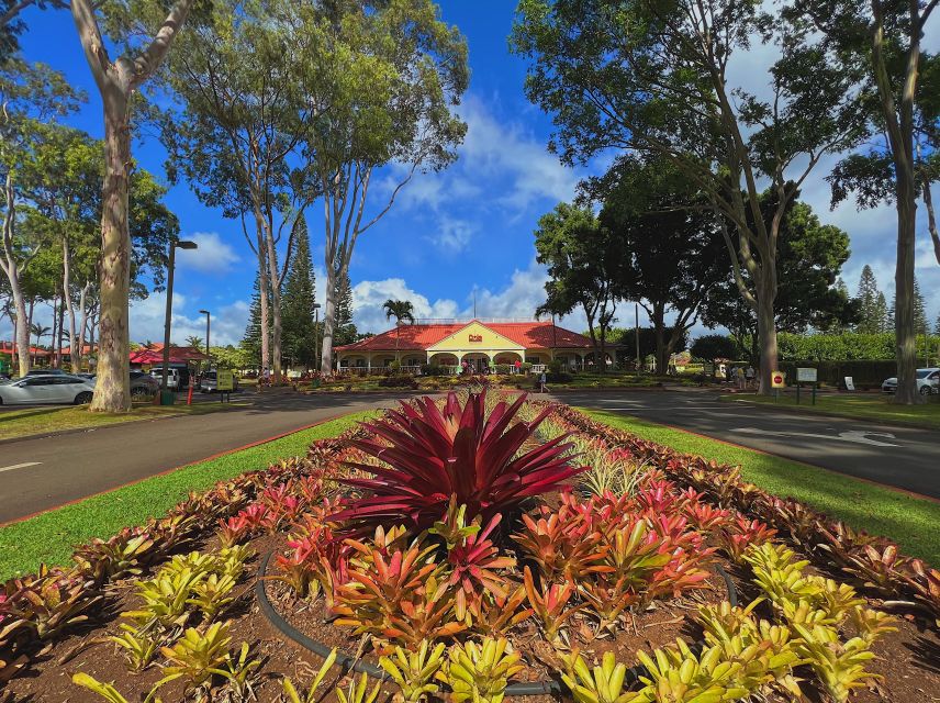 Oahu: North Shore Experience and Dole Plantation - Experience Highlights of North Shore