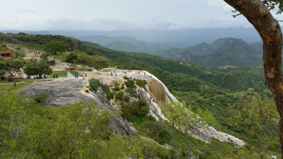 Oaxaca: El Tule, Mitla, and Hierve El Agua Tour With Mezcal - Customer Testimonials