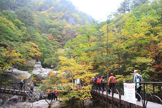 Odaesan National Park Hiking Day Tour: Explore Autumn Foliage Korea - Tour Itinerary Preview