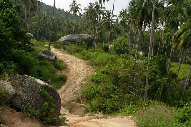 Off-Road Trip in Koh Phangan - Last Words