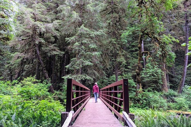 Olympic National Park Luxury Small-Group Day Tour With Lunch - Last Words