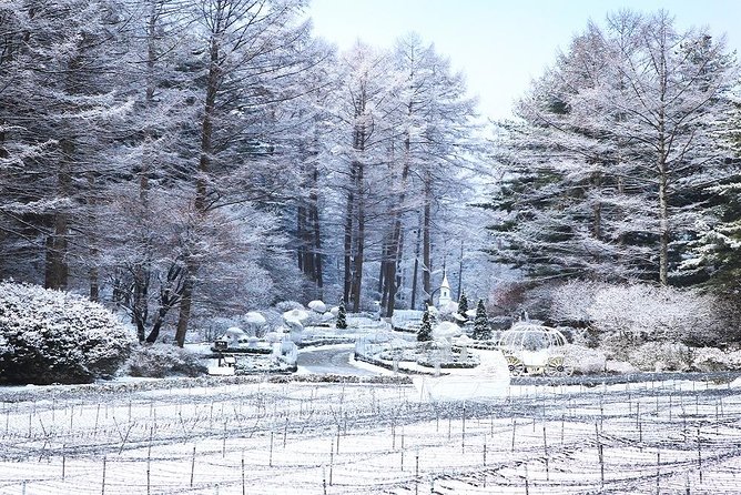 One Day Private Tour-Nami Island, Petite and Garden of Morning Calm(Incl. Lunch) - Additional Information